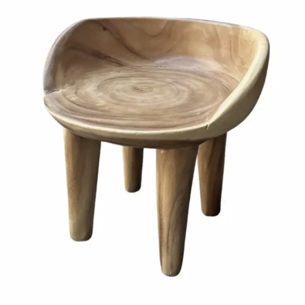 Sculptural Suar Wood Chair Modern Organic