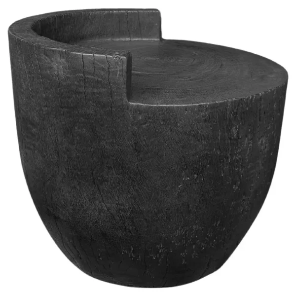 Sculptural Chair Carved from Solid Suar Wood, Modern Organic, Burnt Finish